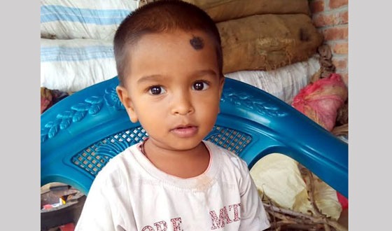 বিরলে সর্প দংশনে ২ জনের মৃত্যু