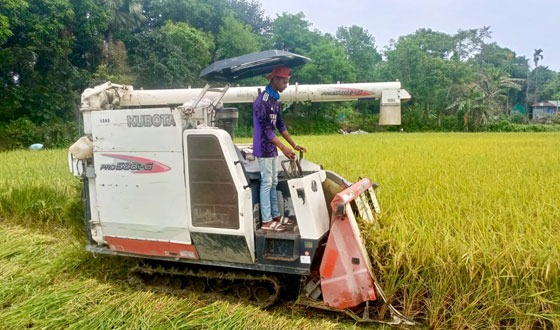প্রযুক্তির জয়রথে পিছিয়ে পড়ছেন কৃষি শ্রমিকরা