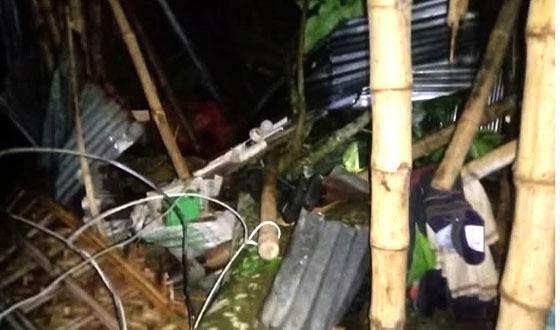 পীরগাছায় গাছের চাপায় শিশুর মৃত্যু