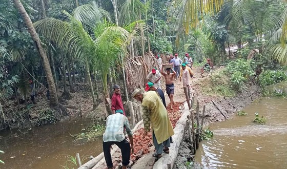 নাজিরপুরে জামায়াতের উদ্যোগে স্বেচ্ছাশ্রমে রাস্তা সংস্কার