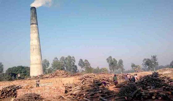 পীরগঞ্জে অর্ধ শতাধিক ভাটার বৈধতা নেই, নেই কর্তৃপক্ষের অনুমতি