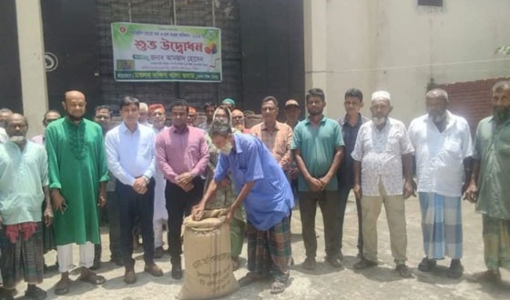 মতলবে ধান ও চাল সংগ্রহ কার্যক্রমের উদ্বোধন