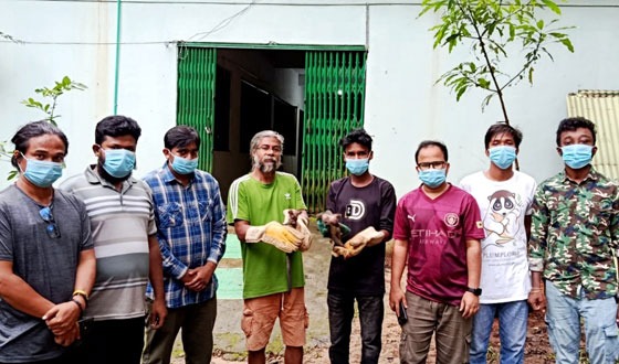 কমলগঞ্জে তিনটি গন্ধগোকুলের শাবক উদ্ধার