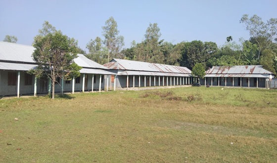 তোফাজ্জল হোসেন তুহিনের বিরুদ্ধে ভুয়া নিয়োগ দেয়ার অভিযোগ