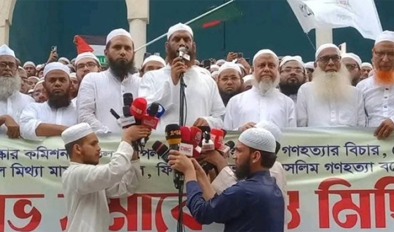 দেশের অভিভাবক ড. ইউনূস আর সেনাপ্রধান স্তম্ভ: মামুনুল হক