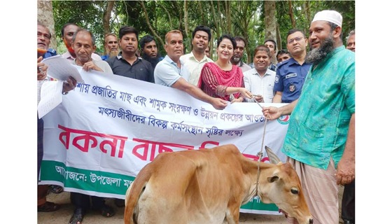 মৎস্যজীবীদের মাঝে বকনা বাছুর বিতরণ