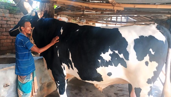 মান্দায় ‘টাইগার-নবাব’কে ঘিরে ঈদের উৎসব