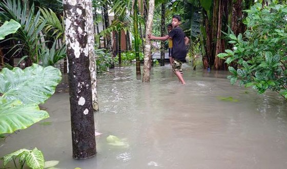 পিরোজপুরে টানা বর্ষণ জোয়ারে নিম্মাঞ্চল প্লাবিত