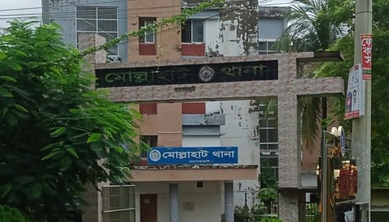 মোল্লাহাটে আল হেরা এগ্রো ফার্মে চুরি, এক লাখ টাকা লুট