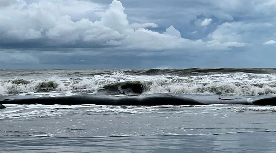 বঙ্গোপসাগরে ঘূর্ণিঝড় ‘ডিটওয়াহ’, ৪ বন্দরে সতর্ক সংকেত