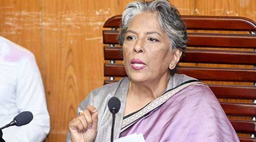 দ্রুত বিপদগ্রস্ত কন্যা শিশুদের কাছে পৌঁছাতে চায় সরকার: শিশু বিষয়ক উপদেষ্টা