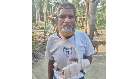 কলারোয়ায় বিরোধের জেরে কৃষককে কুপিয়ে জখম