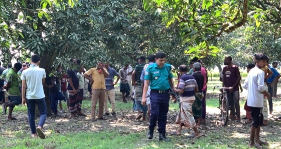 রাজশাহীতে ধান খেত থেকে নারীর লাশ উদ্ধার