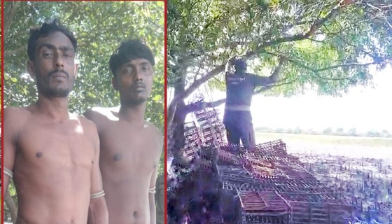 সুন্দরবনের টিয়ারচরে ডিংগি নৌকাসহ ২ জেলে আটক