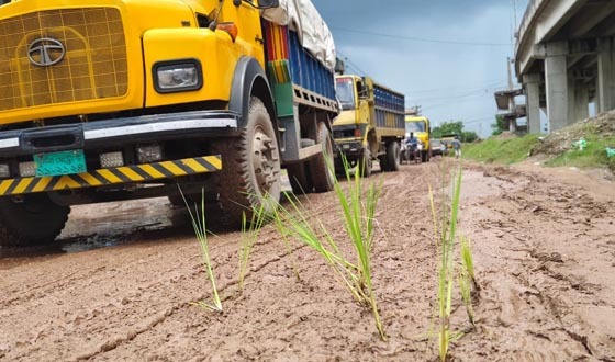 খুলনায় শিপইয়ার্ড সড়কে ধানের চারা রোপণ করে প্রতিবাদ