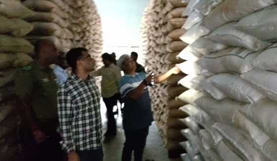 গরীবদের জন্য গুদামে পচা চাল, ধরলেন ইউএনও