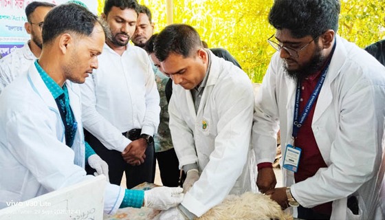 কালিগঞ্জে বিশ্ব জলাতঙ্ক দিবস উপলক্ষে র‌্যালি ও সভা