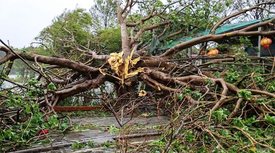 ভিয়েতনামে টাইফুন বুয়ালোই: নিহত ১৯, আহত ৮৮,নিখোঁজ?