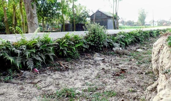 শেরপুরে সড়কের কাজ ফেলে পালিয়েছে ঠিকাদার