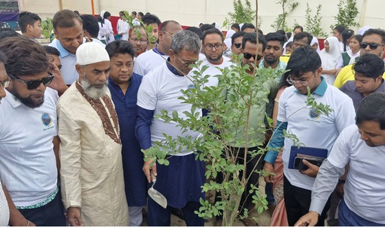 চাঁদপুরে বৃক্ষরোপন কর্মসূচির উদ্বোধন করলেন শেখ মানিক