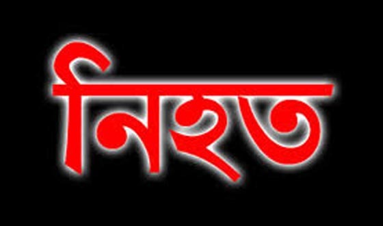 বরিশালে চাচাতো ভাইদের মারধরে বৃদ্ধ নিহত