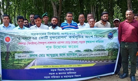 শৈলকুপায় বৃক্ষরোপন কর্মসূচীর উদ্বোধন