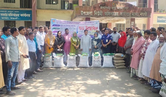 মান্দায় কৃষকদে বিনামূল্যের সার ও বীজ বিতরণ