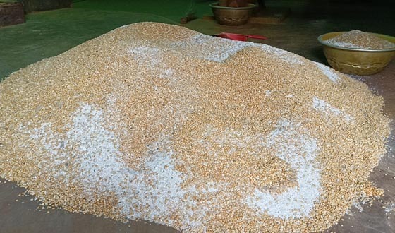 কালীগঞ্জে হলুদের কারখানায় ভেজাল দিয়ে মাড়াই করা হচ্ছে