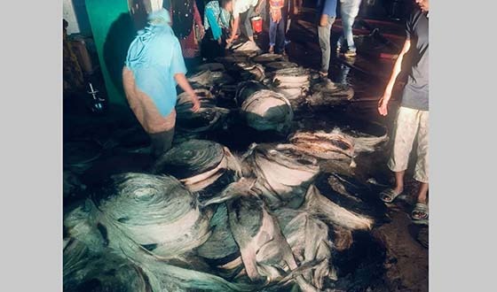 অভয়নগরে জুট মিলে আগুন, কোটি টাকার ক্ষয়ক্ষতি