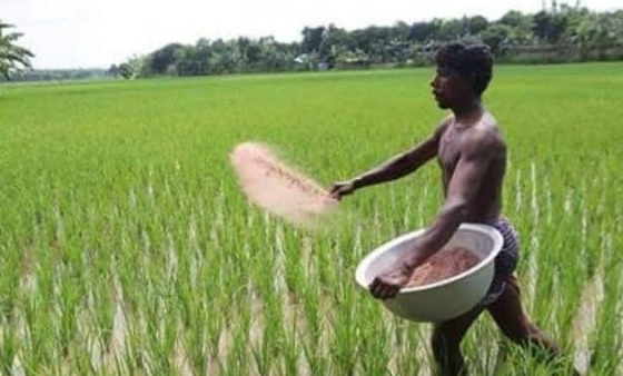 ডিলারদের দৌরাত্ম্য ‘সংকট’ দাম বেশি দিলেই মিলছে খুচরা সার