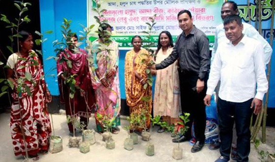 ক্ষুদ্র নৃ-গোষ্ঠীর নারীদের বস্তায় আদা ও হলুদ চাষ বিষয়ক প্রশিক্ষণ