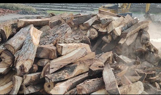 জিয়ানগরে অবৈধ ইট ভাটায় অভিযান, ৯ লাখ টাকা জরিমানা