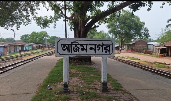 রেলব্রিজ পার হতে গিয়ে ট্রেনের ধাক্কায় নারীর মৃত্যু