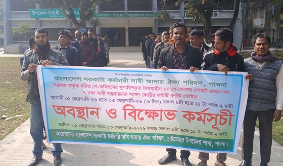 চাটমোহরে সরকারি কর্মচারীদের কর্মসূচি
