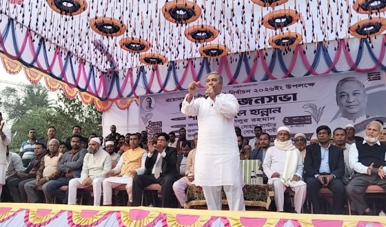 মাদকমুক্ত আধুনিক কাপাসিয়া গড়তে ধানের শীষে ভোট দিন: রিয়াজুল