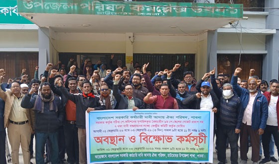 নবম পে-স্কেল বাস্তবায়নের দাবিতে চাটমোহরে কর্মসূচি