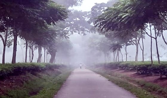 শ্রীমঙ্গলে দেশের সর্বনিম্ন তাপমাত্রা ৮.৪ ডিগ্রি সেলসিয়াস রেকর্ড