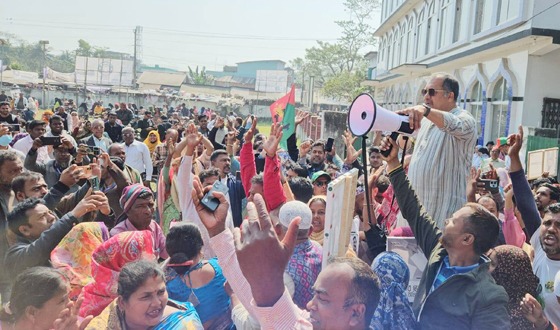 ভোটাধিকার ফিরিয়ে আনতে ধানের শীষের বিকল্প নেই