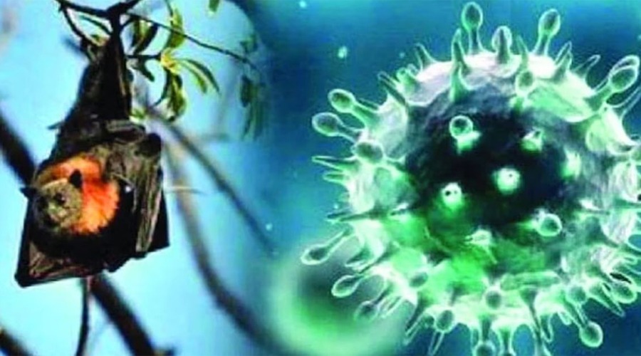 নিপাহর মতো আরেক ভাইরাস বাংলাদেশে প্রাণঘাতী হয়ে উঠছে