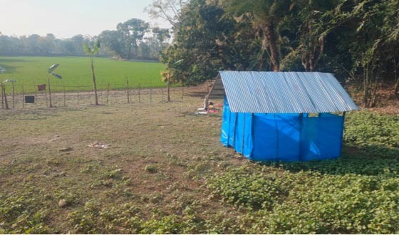 বুধহাটায় ছাবড়া ঘর বেঁধে জমি জবরদখলের চেষ্টা