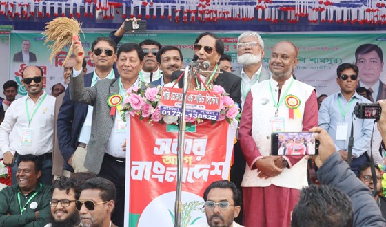 ধানের শীষে ভোট দিয়ে গণতন্ত্র ও সার্বভৌমত্বকে রক্ষা করতে হবে: আবু সাইয়িদ