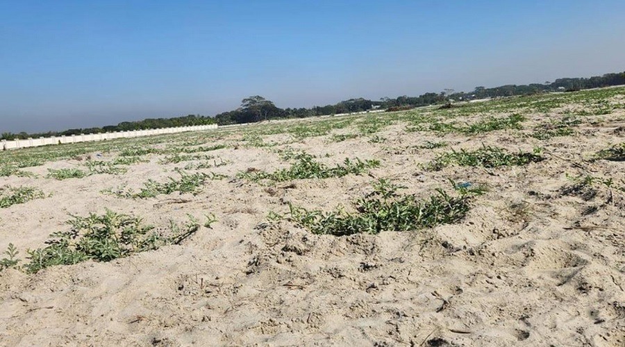 হাজী শরীয়তউল্লাহ তাঁতপল্লিতে ৩০০ কোটি টাকার অপচয়