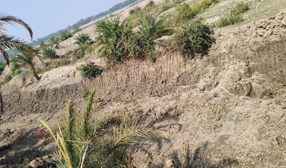 সীতাকুণ্ডে সাগর থেকে বালু তুলে আবাদি জমি ভরাট