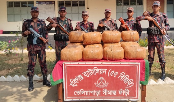 মাধবপুরে ৭৩ কেজি গাঁজা জব্দ