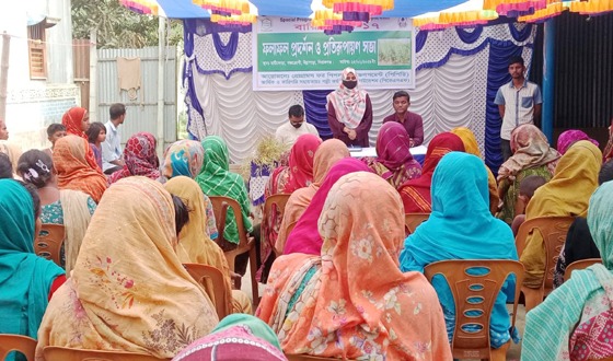 উল্লাপাড়ায় বারি সরিষা-১৭ উৎপাদন বিষয়ক প্রতিরুপায়ন সভা