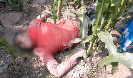 লালমনিরহাটে ভুট্টা ক্ষেত পড়েছিল যুবকের লাশ!