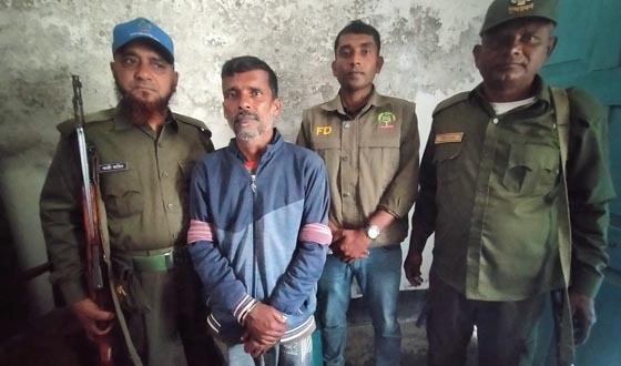 সুন্দরবনে বিষ দিয়ে মাছ শিকারের অভিযোগে ১ জেলে আটক