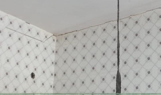 ভুমিকম্পে কেপে উঠলো সুন্দরবন সংলগ্ন কয়রা