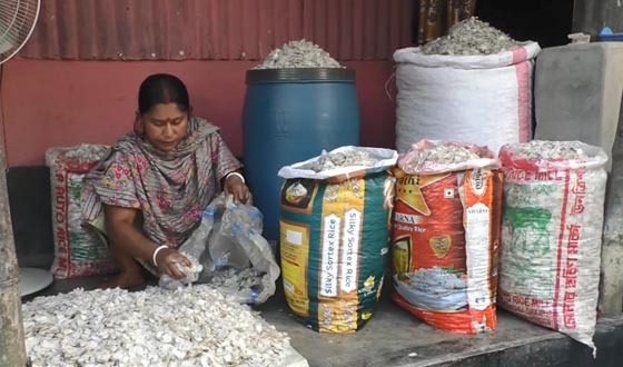 কুড়িগ্রামে মাছের উচ্ছিষ্ট আঁশ এখন বিদেশে রপ্তানী হচ্ছে