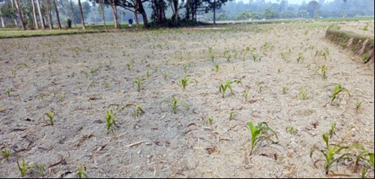 বিরল প্রেস ক্লাবে দোয়া মাহফিল অনুষ্ঠিত